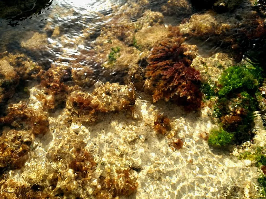 Perla Del Atlantico Διαμέρισμα Orzola